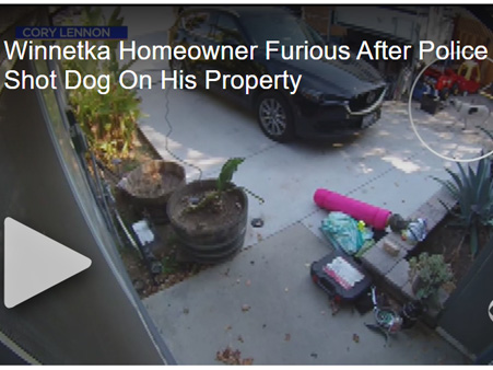 Homeowner Outraged After Police Enter Property, Shoot Dog With Bean-Bag Rifle: 'There Was No Remorse'